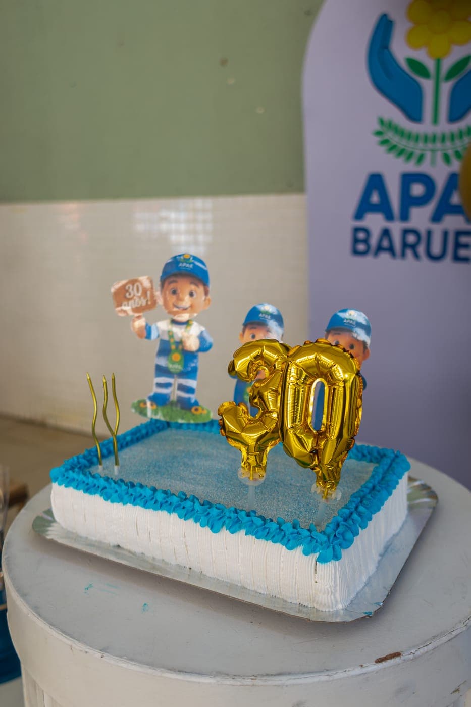 Celebração dos 30 anos da APAE Barueri — foto 7 de 30