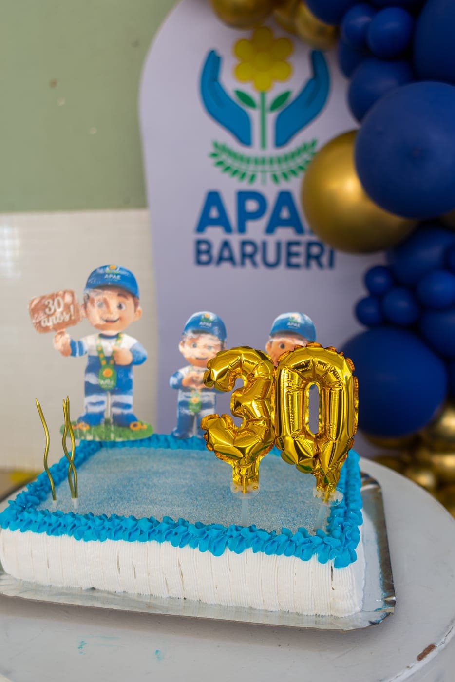 Celebração dos 30 anos da APAE Barueri — foto 8 de 30