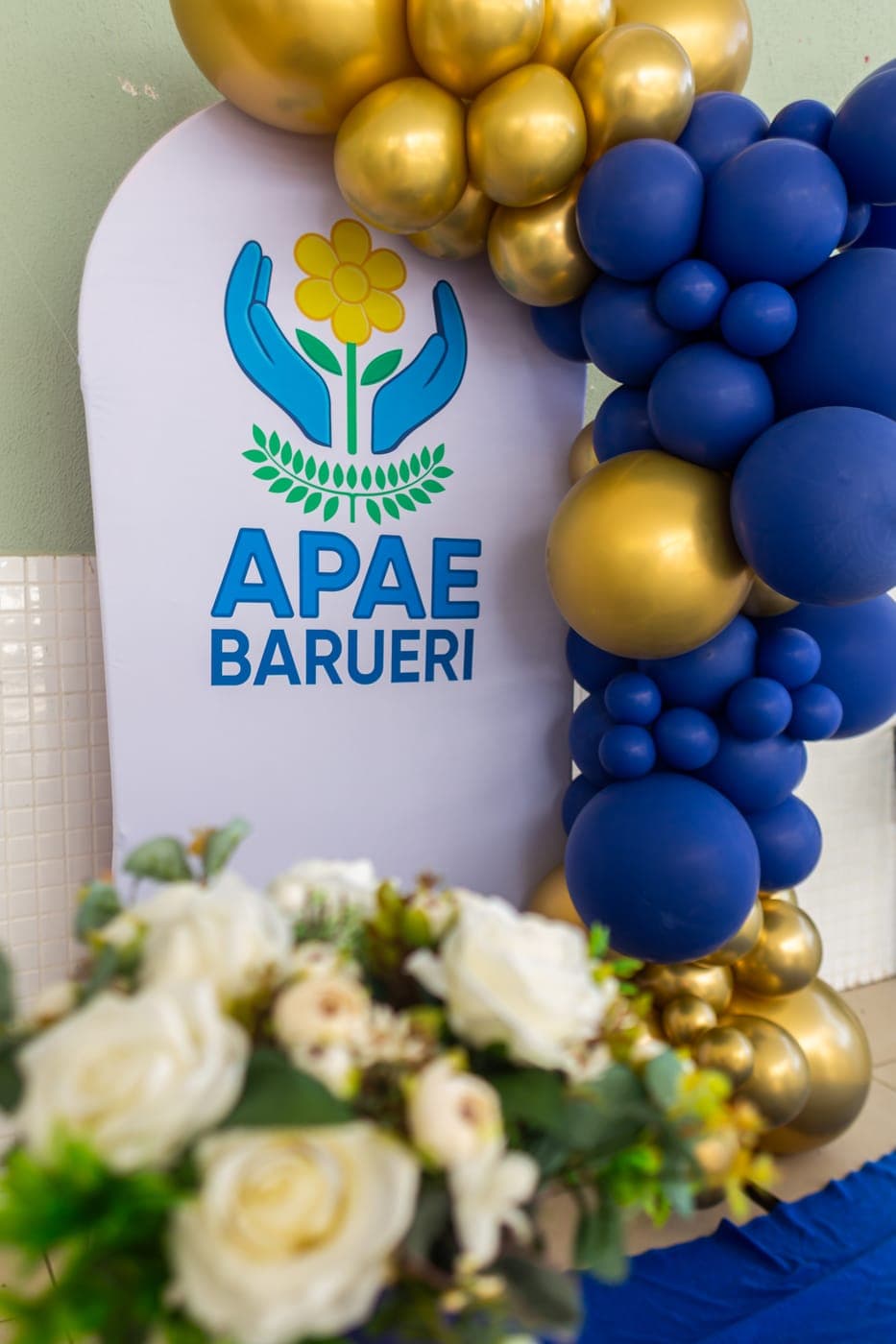 Celebração dos 30 anos da APAE Barueri — foto 9 de 30