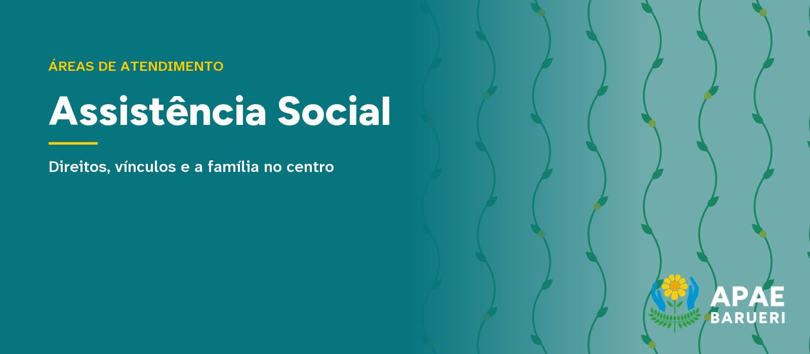 Capa tipográfica em fundo verde-azulado com o texto “Áreas de atendimento” e o título “Assistência Social”, seguido da frase “Direitos, vínculos e a família no centro”, com estampa de hastes onduladas com folhas à direita e o logo da APAE Barueri no canto inferior.