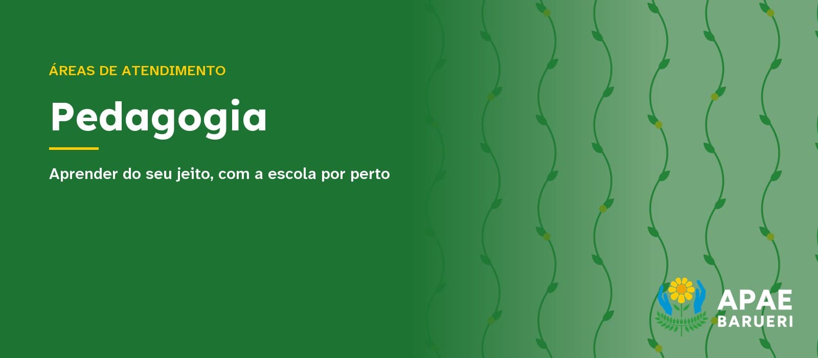 Capa tipográfica em fundo verde com o texto “Áreas de atendimento” e o título “Pedagogia”, seguido da frase “Aprender do seu jeito, com a escola por perto”, com estampa de hastes onduladas com folhas à direita e o logo da APAE Barueri no canto inferior.