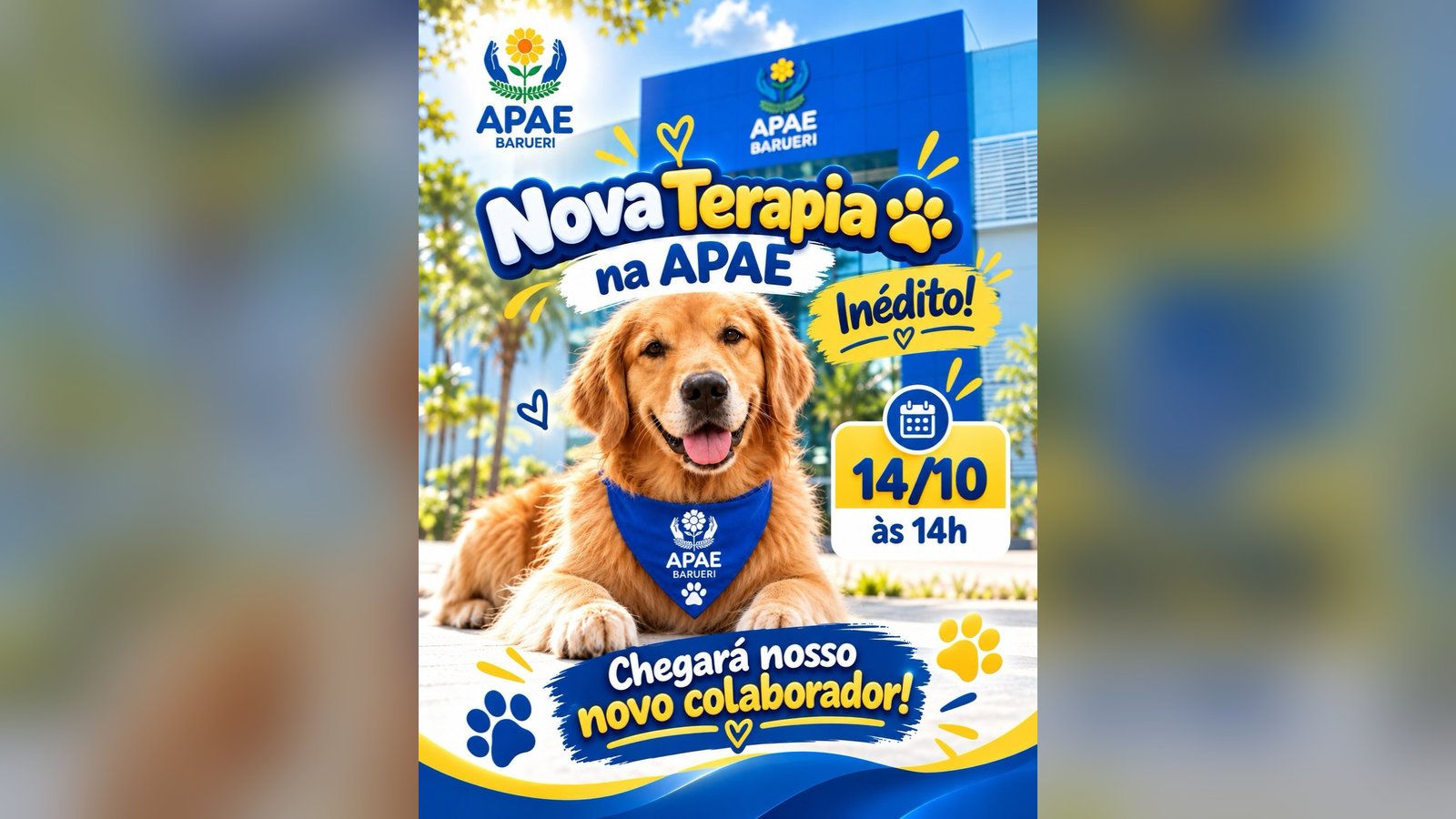 A Cinoterapia está chegando à APAE Barueri: um cão terapeuta vai participar dos atendimentos