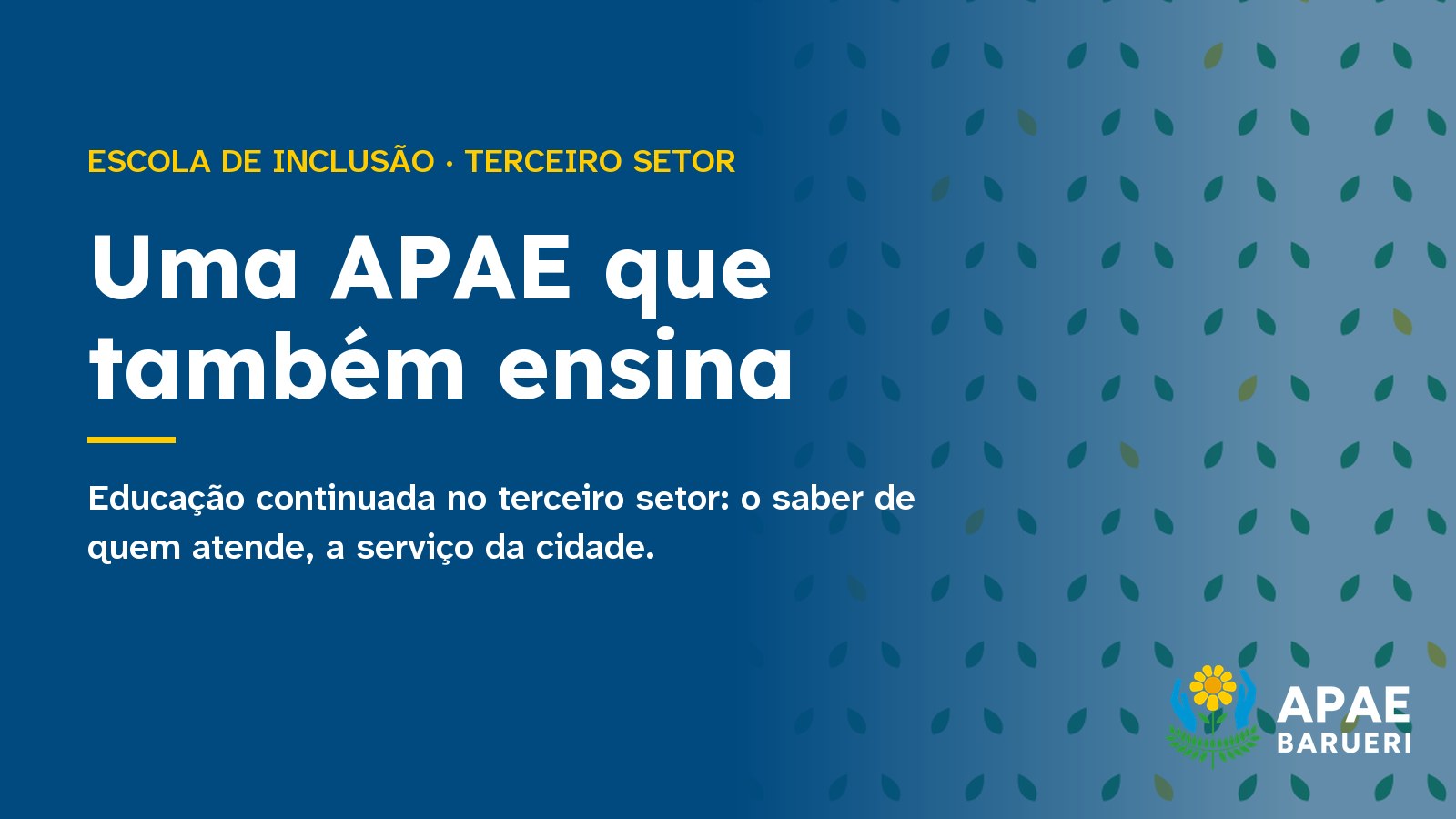 Educação continuada no terceiro setor: o papel de uma APAE que também ensina